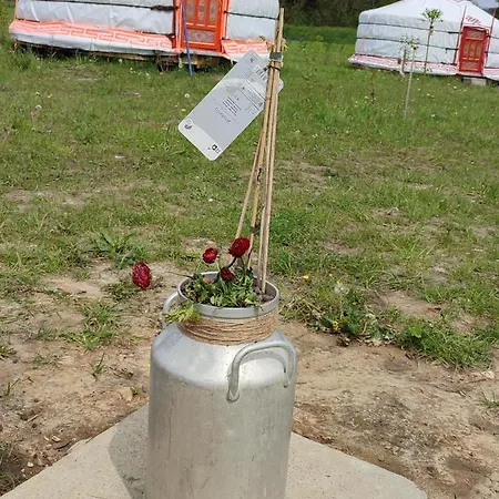 Les Insolites De La Baie Longroy