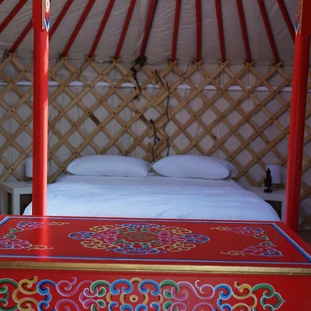 Les Insolites De La Baie *