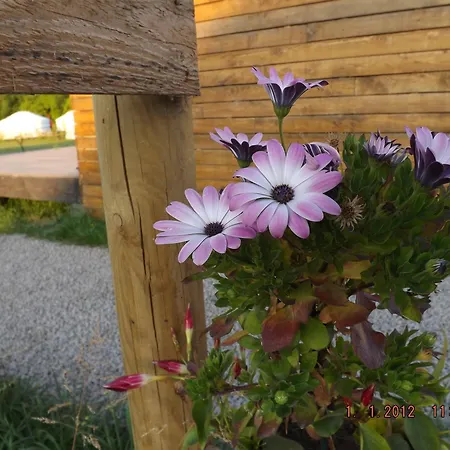 Campeggio Les Insolites De La Baie Longroy