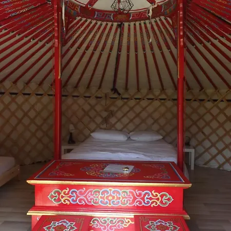 Les Insolites De La Baie