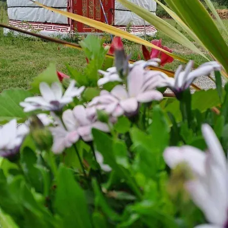 Les Insolites De La Baie * Longroy