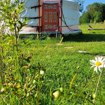 Les Insolites De La Baie * Longroy